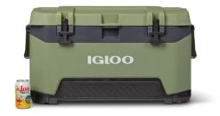 Igloo 50555 BMX 72 Koelbox Green -HandelFix Winkel 044ba598077c2a7b024da76a45db6b27