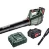 Metabo LB 18 LTX BL 18V Li-Ion Accu Bladblazer Set (2x 5,2Ah) - Koolborstelloos - 150km/h -HandelFix Winkel 0a1f9d9c56ee7c4aa6d107c4fe6a90ef