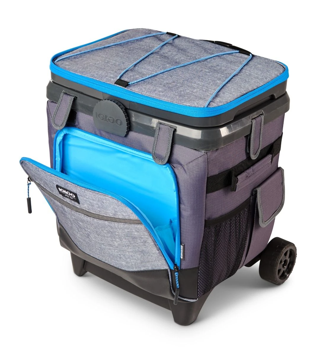 Igloo 64560 Maxcold Cool Fusion 36 Koelbox 8 Igloo 64560 Maxcold Cool Fusion 36 Koelbox - Afbeelding 6