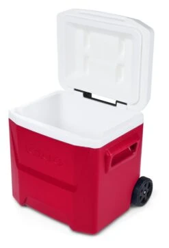 Igloo 34656 Laguna 16 Roller Koelbox Op Wielen Red -HandelFix Winkel 1ba42b8fe4ac49a1bdfaa3e179872d67