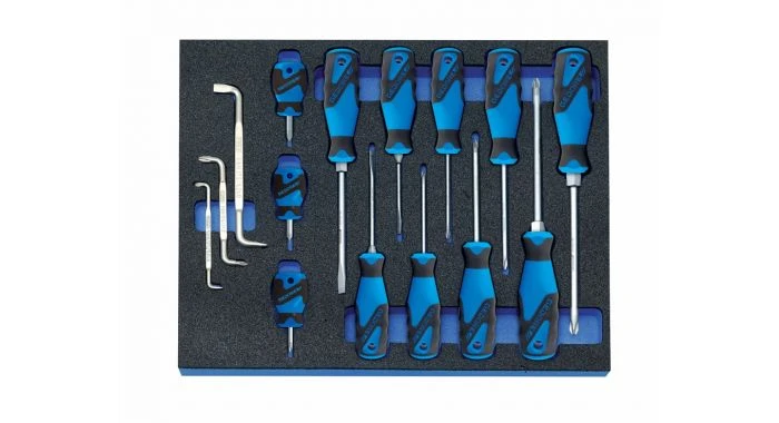 Gedore 2005 CT2-2160 3-C Schroevendraaier-set In 2/4 Check-tool Module 3 Gedore 2005 CT2-2160 3-C Schroevendraaier-set In 2/4 Check-tool Module