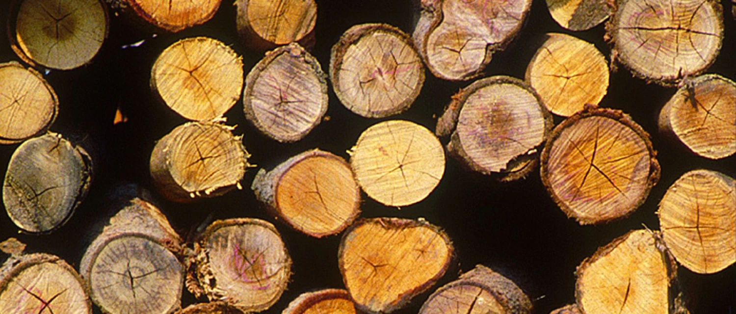 Einhell GE-LC 18 Li KIT Accu Kettingzaag - 18V - 250mm - Set - 4501760 12 Einhell GE-LC 18 Li KIT Accu Kettingzaag - 18V - 250mm - Set - 4501760 - Afbeelding 10