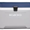 Igloo 50543 Maxcold 54 Koelbox -HandelFix Winkel 29b9f6d871c00c6069f8cdd60114311e