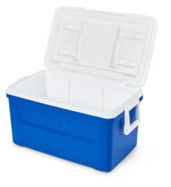 Igloo 50061 Laguna 48 Koelbox Blue -HandelFix Winkel 4441938b23617e8374642eda687ad313