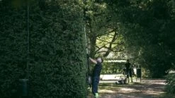 Cramer 82PHT 82V Li-Ion Accu Telescopische Steel Heggenschaar Body - 2.70-3.40 M - Koolborstelloos -HandelFix Winkel 63f8eb808c9cbf0159dd9b49d1d491cd