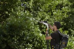 Stiga PH 900e Accu Heggenschaar Body Op Steel - 50cm - 34mm - Telescopisch -HandelFix Winkel 6fd30dfc29883f8a9e357010ec685306