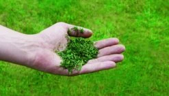 Einhell GC-PM 52/2 S HW Benzine Grasmaaier - 80L - 52cm - 3404850 -HandelFix Winkel 8813e7ff1c644f4bd554b7401bfce919