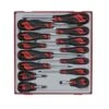 Teng Tools TTD914N 14-delige Schroevendraaierset In Tray - PH/PZ/SL -HandelFix Winkel 88aed8b3f94906b658e37e3dd284d5c6