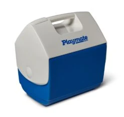 Igloo 32643 Playmate Pal Koelbox Blue -HandelFix Winkel 918794a1a03a1e97f43abe83da6e33a2