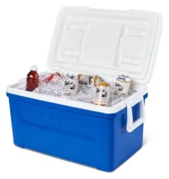 Igloo 50061 Laguna 48 Koelbox Blue -HandelFix Winkel 94e5a30ce8231b3298216404a1ddb76c