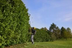 Stiga PH 900e Accu Heggenschaar Body Op Steel - 50cm - 34mm - Telescopisch -HandelFix Winkel 9a4c0a00a54ba77be518e399f52487dd