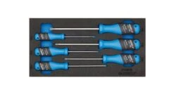 Gedore 1500 CT1-2163 TX 3-C 6 Delige Torx Schroevendraaierset In 1/3 CT Module - 2309157