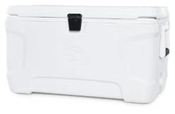 Igloo 50069 Marine Contour 70 Koelbox