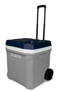 Igloo 34696 Maxcold Latitude 62 Roller Koelbox Op Wielen -HandelFix Winkel cdeec337a9c505ff9481efbb76f87119
