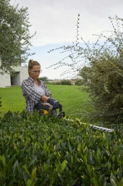 Stiga HT 700e Accu Heggenschaar Body - 56cm - 34mm -HandelFix Winkel cff7c6dab2bfae4178513e0c0a7e9b57