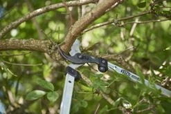 Felco F.211-60 Takkenschaar - 60cm -HandelFix Winkel e4dac8eddc6285626209139c8a810202