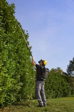 Stiga PH 900e Accu Heggenschaar Body Op Steel - 50cm - 34mm - Telescopisch -HandelFix Winkel f701098bd23dbb7cd4add1f5f6b35d0a