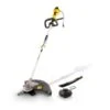 Powerplus POWXG30405 Bosmaaier / Grastrimmer - 1000W - 2 Acc. -HandelFix Winkel f8ce998bc528acf5ecfbbf5b417c98ed