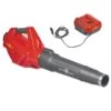 WOLF-Garten Lycos 40/740 B Accu Bladblazer - Set - 240km/H -HandelFix Winkel fbb90d87d606dc5cd02d93af011ba570